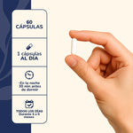 Magnesio L-Treonato Cápsulas Relajación Sueño Karun Life 60 Unidades